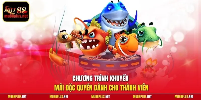 Chương trình khuyến mãi đặc quyền dành cho thành viên