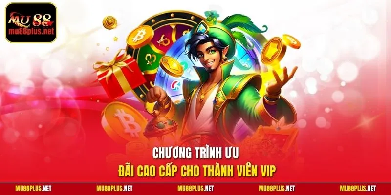 Chương trình ưu đãi cao cấp cho thành viên VIP