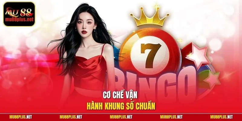 Cơ chế vận hành khung số chuẩn