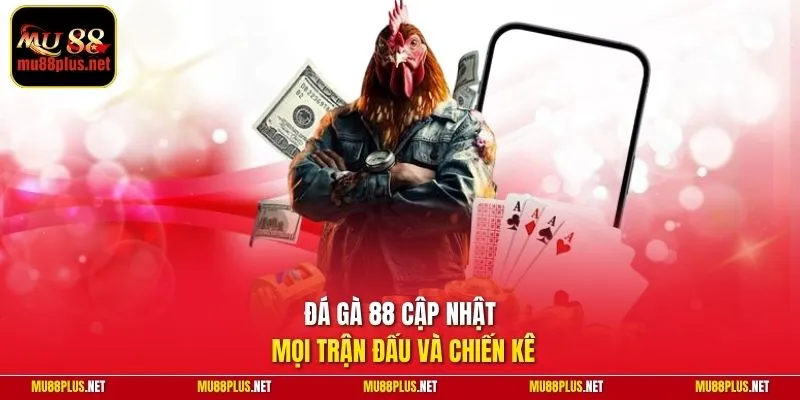 Đá gà 88 cập nhật mọi trận đấu và chiến kê