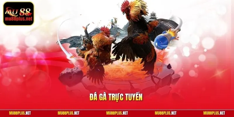 Đá gà trực tuyến
