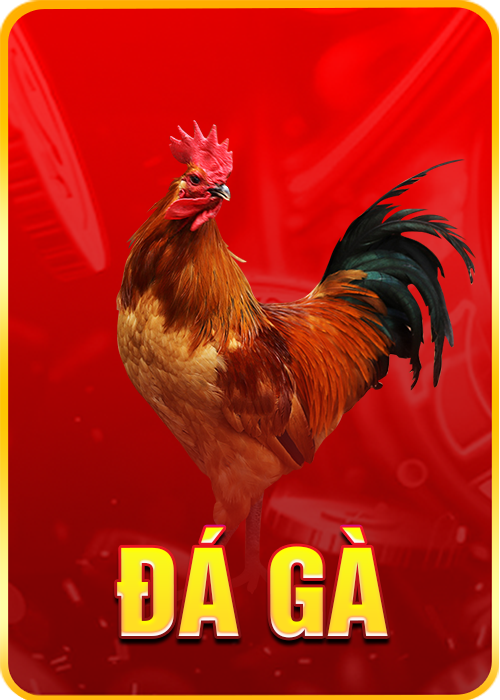 đá gà