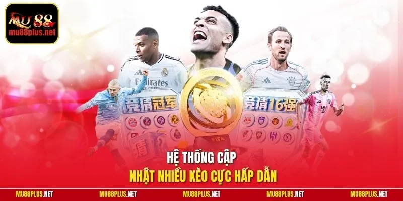 Hệ thống cập nhật nhiều kèo cực hấp dẫn