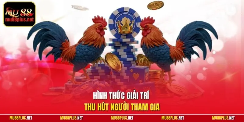 Hình thức giải trí thu hút người tham gia