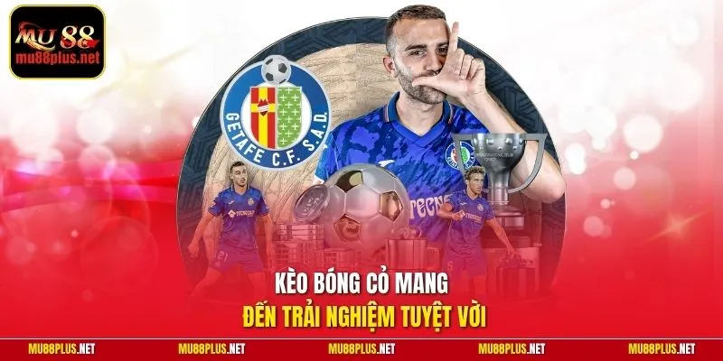 Kèo bóng cỏ mang đến trải nghiệm tuyệt vời