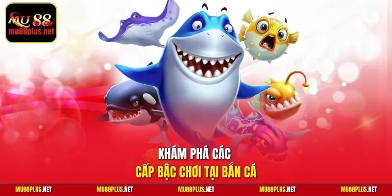 Khám phá các cấp bậc chơi tại bắn cá
