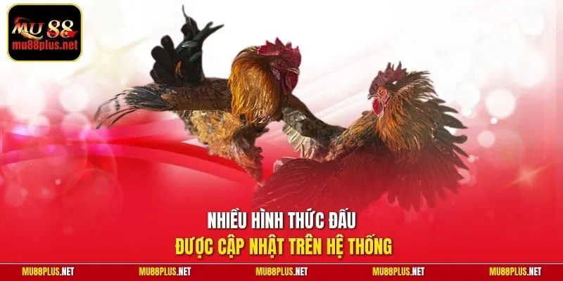 Nhiều hình thức đấu được cập nhật trên hệ thống