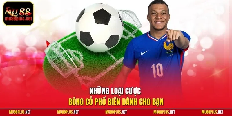 Những loại cược bóng cỏ phổ biến dành cho bạn