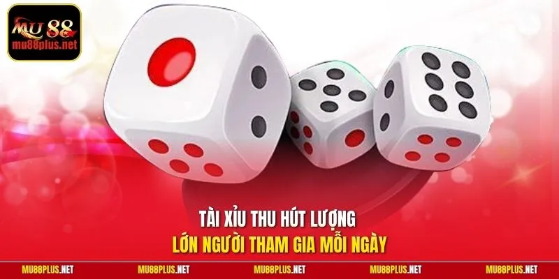 Tài Xỉu thu hút lượng lớn người tham gia mỗi ngày