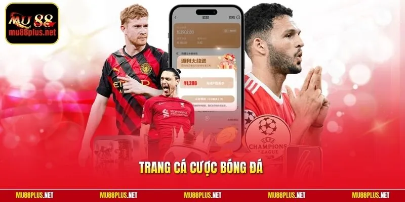 Trang cá cược bóng đá